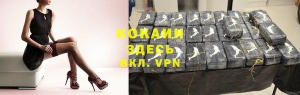 хмурый Нея